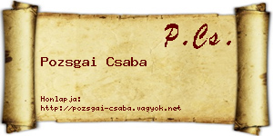 Pozsgai Csaba névjegykártya